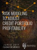 Risk Modeling to Adjust Credit Portfolio Profitability