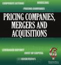 Pricing companies, margers and acquisitions